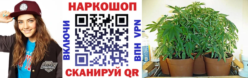 Все наркотики Уфа Alpha PVP  Псилоцибиновые грибы  Кокаин  АМФ  Канабис  Гашиш  Меф 