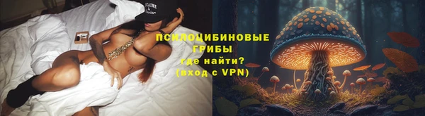 спайс Баксан