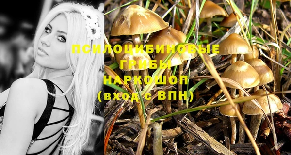 ПСИЛОЦИБИНОВЫЕ ГРИБЫ Балахна